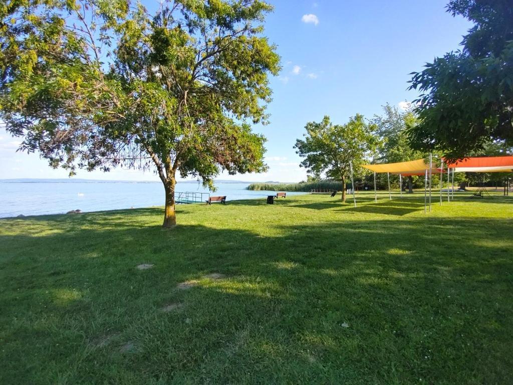 באלאטונספזד Sir David Balaton Castle Apartmanok מראה חיצוני תמונה