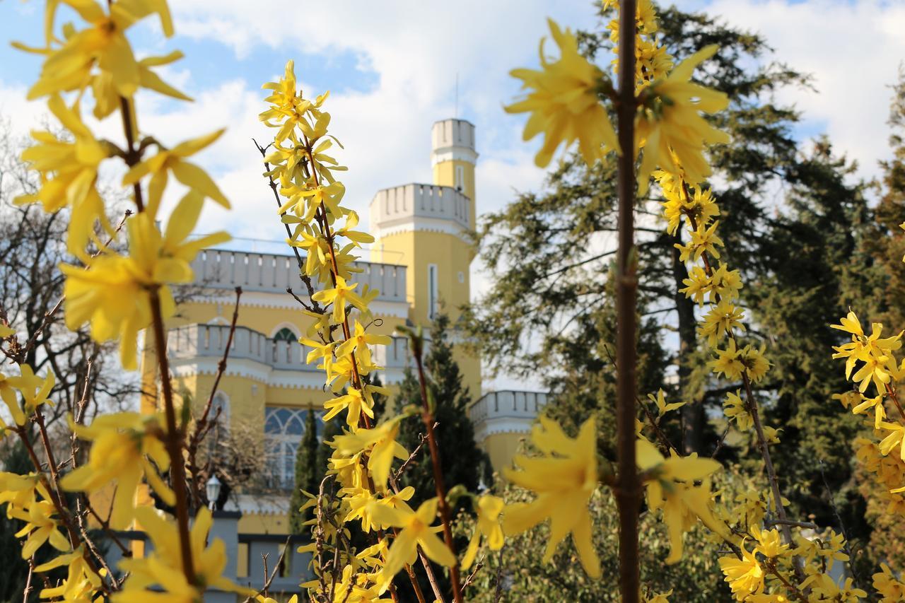 באלאטונספזד Sir David Balaton Castle Apartmanok מראה חיצוני תמונה